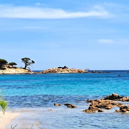 Le Berceau D'Asciaghju Palombaggia - Acces Plage Et Piscine Privee Porto-Vecchio (Corsica) Exterior foto